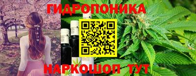 СК Новокубанск