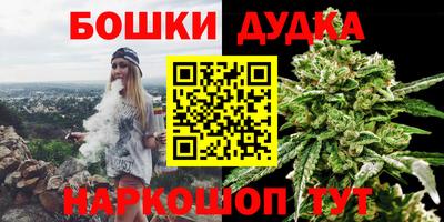 мдпв Новозыбков