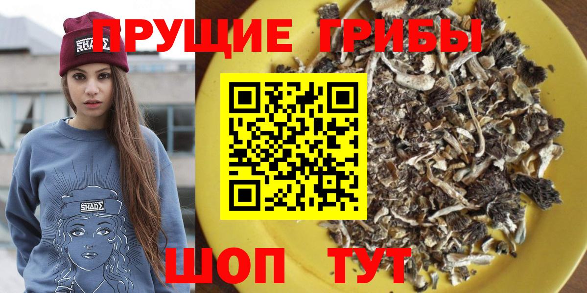 Псилоцибиновые грибы Cubensis Усолье-Сибирское