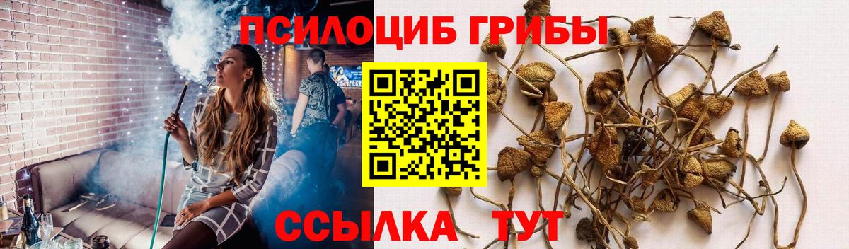 Галлюциногенные грибы GOLDEN TEACHER  Вход с VPN  Псилоцибиновые грибы прущие грибы  купить   Усолье-Сибирское 